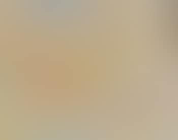Paysage (preview)