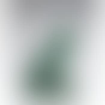 Bird Form (preview)