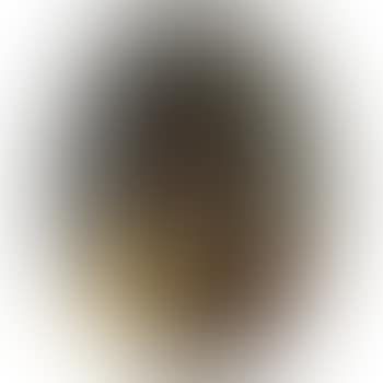 Portrait of a Negro Slave; and Portrait of a Negress (preview)