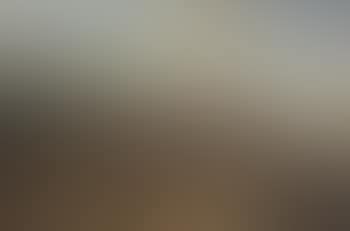 Barnyard Scene with Chickens (preview)