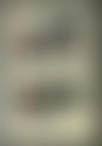 [Untitled] (preview)