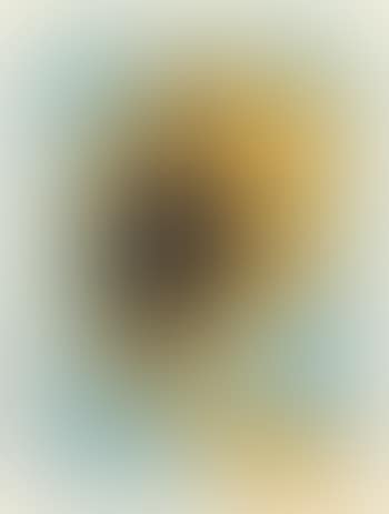 Formes (preview)