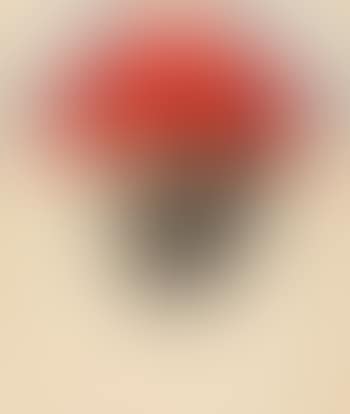 Auto-portrait (preview)