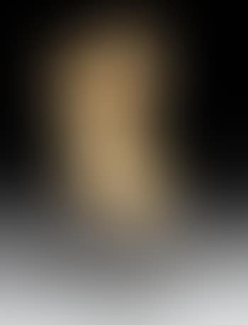 Torso (preview)