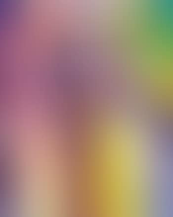 Untitled - Zen Max Series - Abstract Bird (preview)
