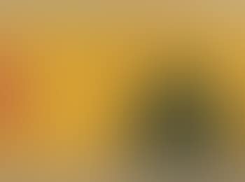 Untitled (Bird, Tree, Mountain) (preview)