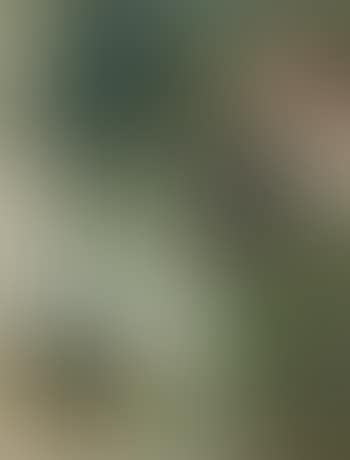 Paysage Et Tête De Femme (Fragment) (preview)