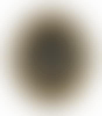 A Woman at Her Toilet (preview)