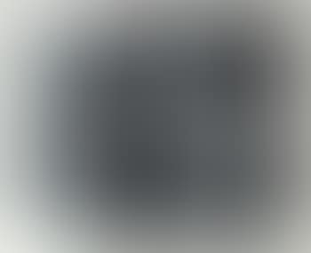 L 1973-51 (1); L 1973-15 (2); L 1976-5 (3) (preview)