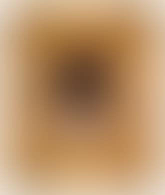 Still Life (preview)