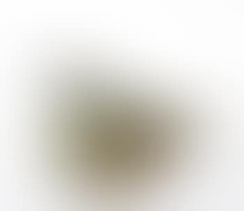 [Untitled] (preview)