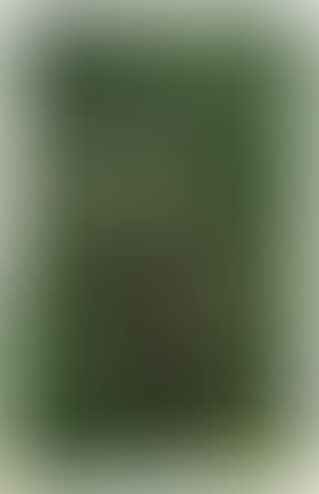 Grunes Tuch (preview)