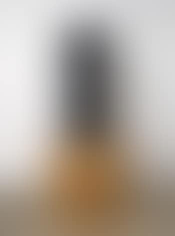 Torso (preview)