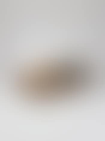 Schlitten (preview)