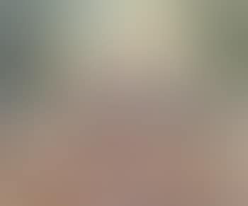 Old muslin (preview)