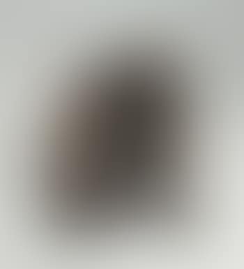 Hockende (preview)