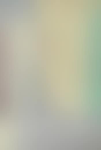 Überbrückte Kontinente Bild II (preview)