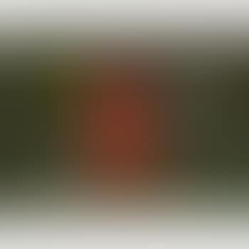 Still Life with a Red Coffee Pot (preview)