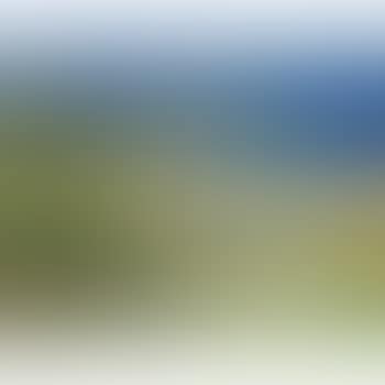 Maltese Landscape (preview)