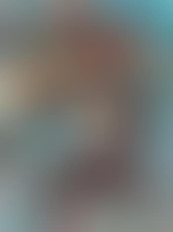Portrait landscape (preview)