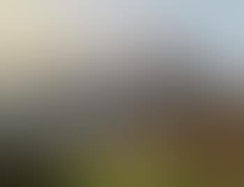 Alpine Landscape, the Watzmann in the background (preview)