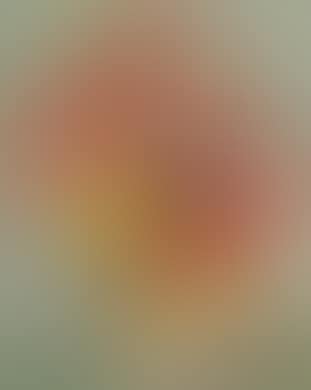 Zinnia (preview)