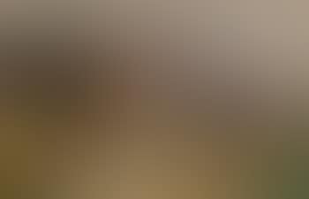 Partie aus St. Anton (Scene from St. Anton) (preview)