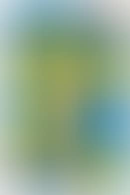Untitled (preview)