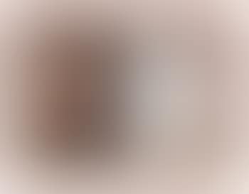 [Untitled] (preview)