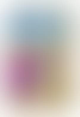 Mosso e fermo [Rough and still] (preview)