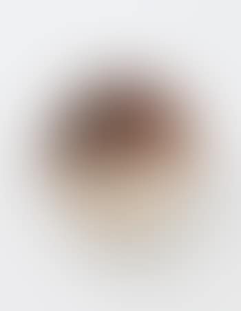 Plate (preview)