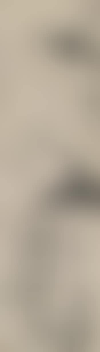 Bamboo (preview)