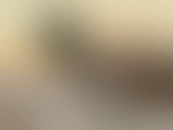 Evening Landscape (preview)