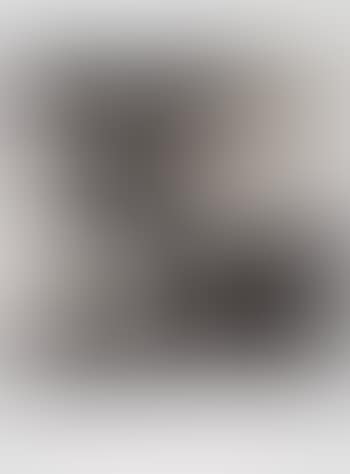 From Icones (preview)