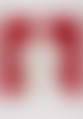 From Icones (preview)