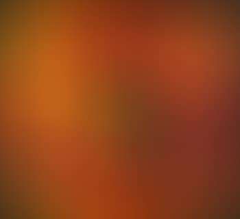Still life (see H.p.222) (preview)