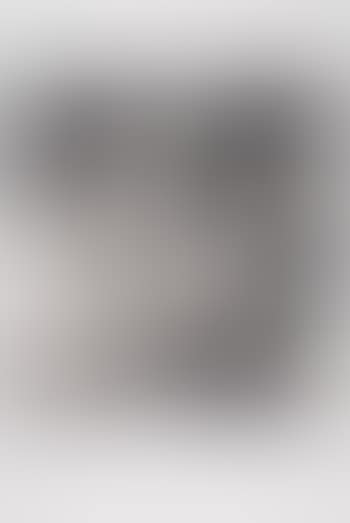 from Icones (preview)
