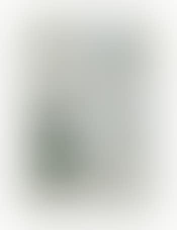 Musiciens (preview)