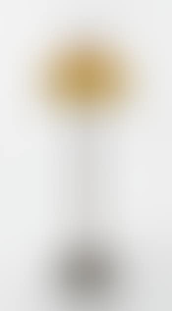Curtain Border Floor Lamp (preview)