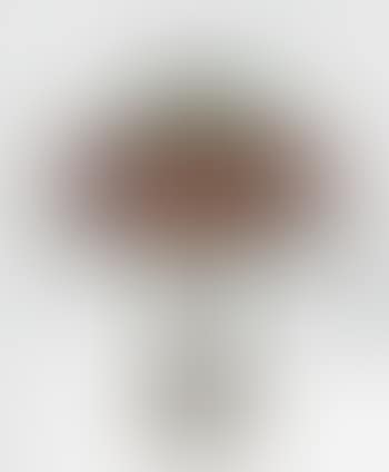 Double Poinsettia Table Lamp (preview)