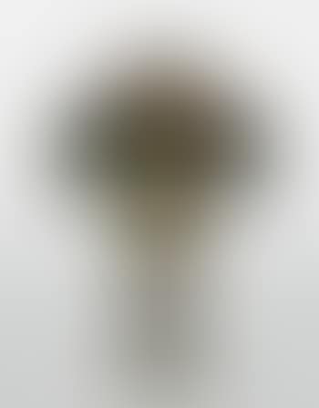 Dragonfly Table Lamp (preview)