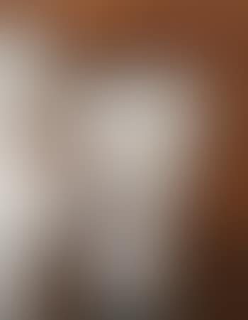 Vase (preview)