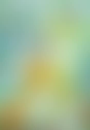Still life (preview)