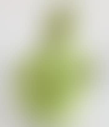 Two-handled Vase (preview)