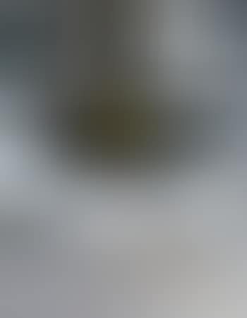 Rigitulle Coupe (preview)
