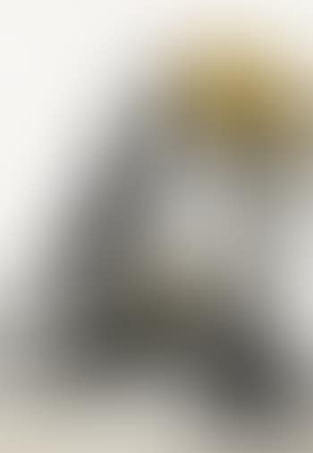 Nudo Femminile (preview)