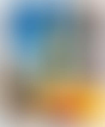 Le Visite (preview)