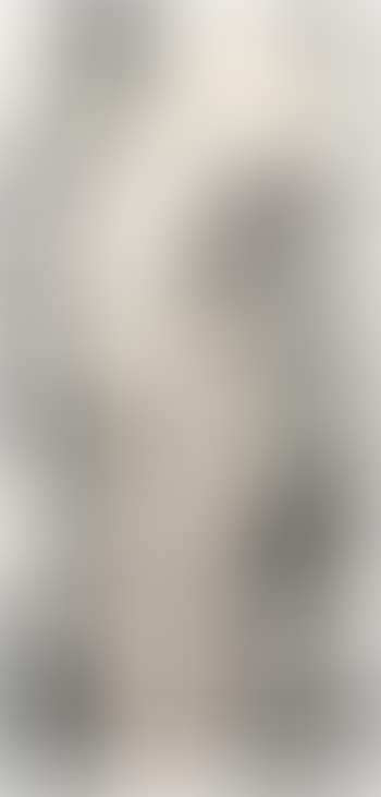 Sans Titre (preview)