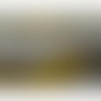 Mount McKinley (preview)