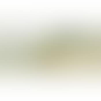[Untitled] (preview)
